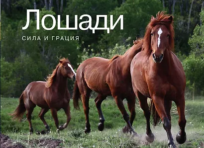 Лошади. Сила и грация - фото 1
