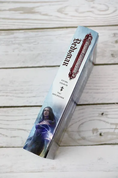 Кровь эльфов. Час презрения - фото 8