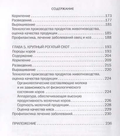Домик в деревне - фото 4