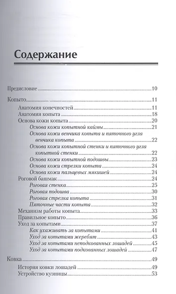 Болезни копыт и ковка лошадей - фото 2
