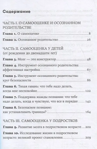 Самооценка у детей и подростков: Книга для родителей - фото 2