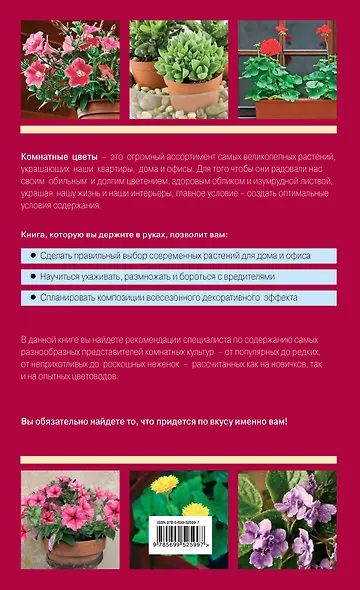 Лучшие цветы. Цветение в доме круглый год - фото 2
