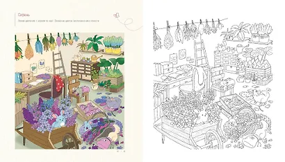 Весенним днём в Корее. Раскраски-антистресс, которые подарят тёплые чувства - фото 11