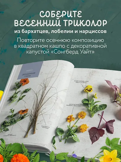 Магия контейнерного сада. Цветочный дизайн террас, веранд, балконов, патио и маленьких садов - фото 6