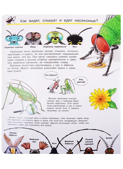 Что? Почему? Зачем? Все о насекомых (с волшебными окошками) - фото 4