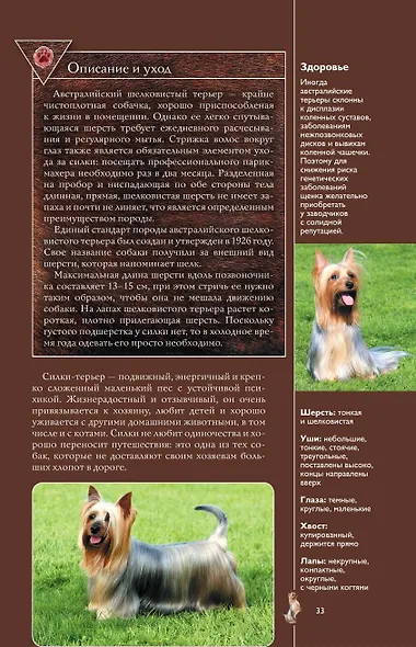 Собаки. Лучший иллюстрированный гид - фото 5