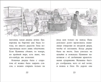 Котёнок Снежинка, или Зимнее волшебство - фото 6