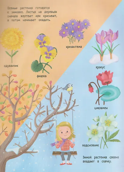 Твой домашний сад: книга идей и развлечений с наклейками - фото 3