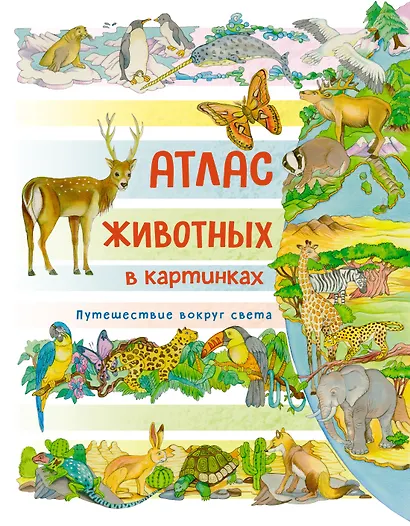 Атлас животных в картинках. Путешествие вокруг света - фото 1