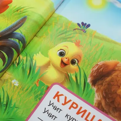 Домашние животные. Книга-пищалка для ванны - фото 8