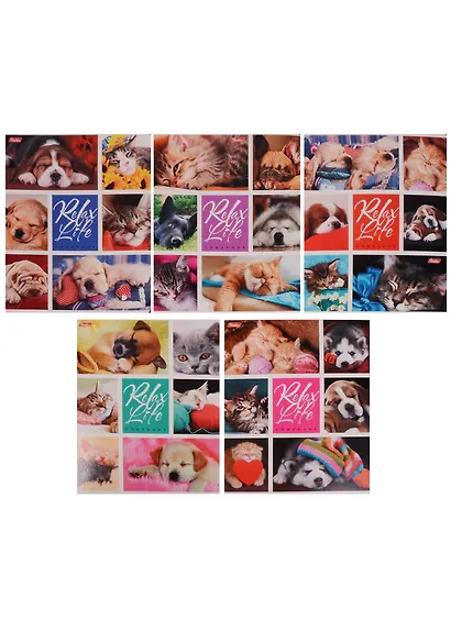 Тетрадь в клетку Hatber, Relax Life, 24 листа, в ассортименте - фото 6