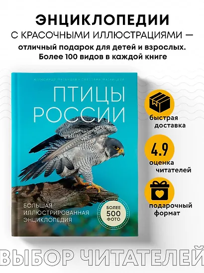 Птицы России. Большая иллюстрированная энциклопедия - фото 4