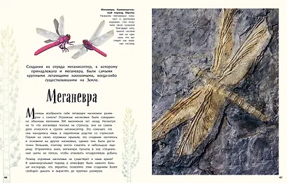 Динозавры и другие доисторические животные. Энциклопедия - фото 6