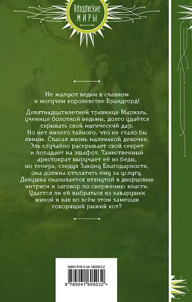 Закон Благодарности. Ведьма - фото 2