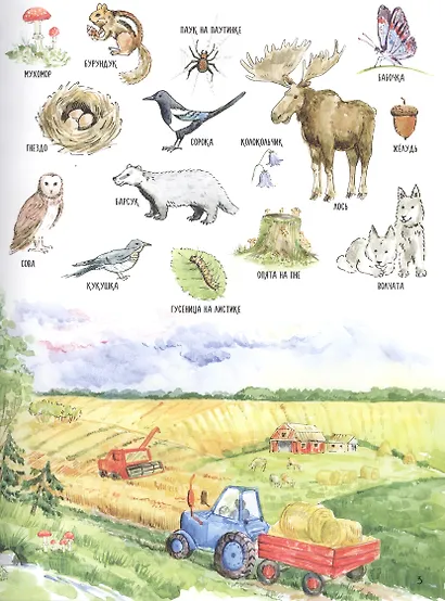 Первая книга о природе и животных - фото 3
