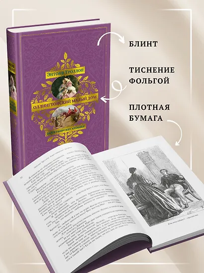 Барсетширские хроники. Книга 4. Оллингтонский Малый дом - фото 6