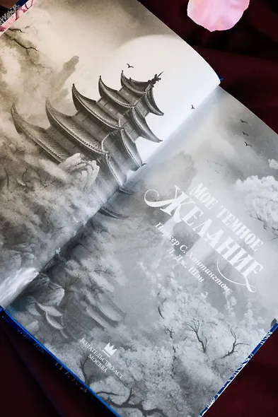 Мое темное желание. Специальное издание - фото 15