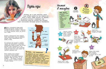 Тело человека: 25 увлекательных опытов шаг за шагом - фото 7