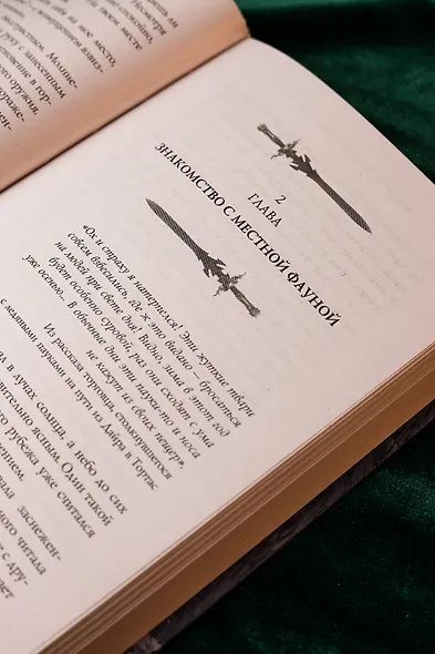 Фальтерия. Ветер севера - фото 11