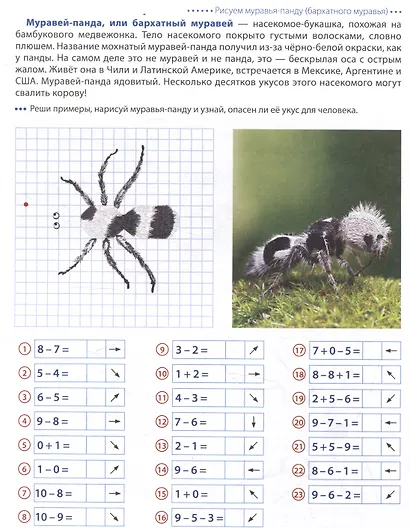 Шагаем по клеточкам. Насекомые. Графические диктанты детям 6-7 лет - фото 4