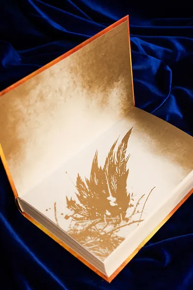 Гарри Поттер и Проклятое дитя. Части первая и вторая. Финальная версия сценария - фото 13