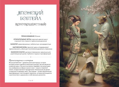 Кошки. Удивительные породы и их секреты - фото 7