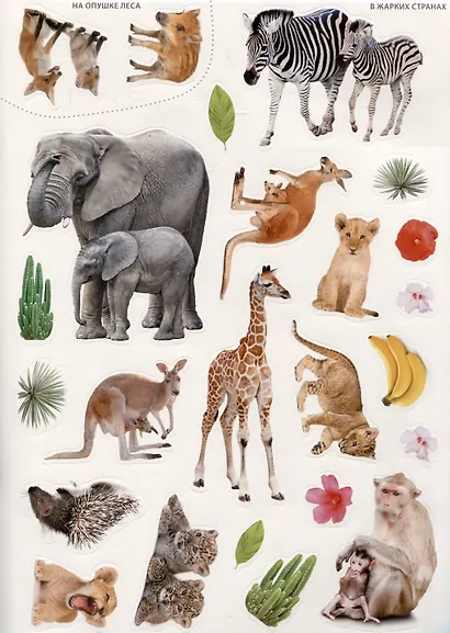 Мир животных. Фотонаклейки - фото 5