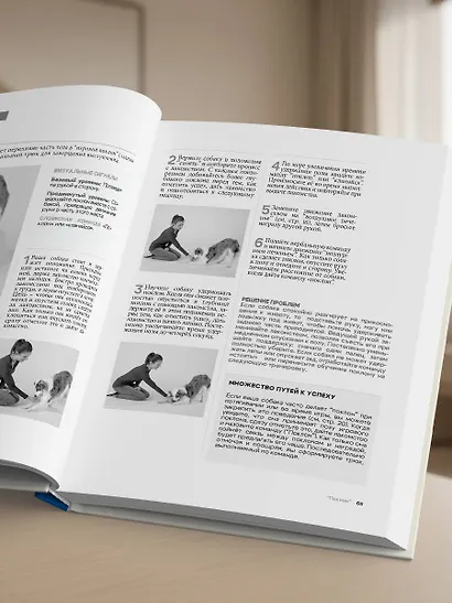 СОБАКА, которая УМЕЕТ ВСЕ. Пошаговое руководство по 118 удивительным трюкам - фото 13