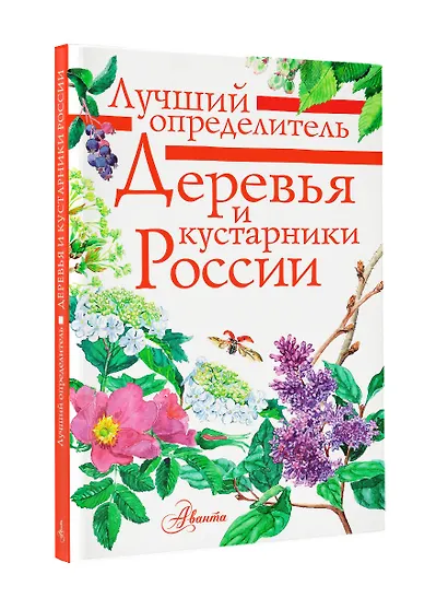 Деревья и кустарники России. Определитель - фото 4