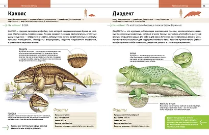 Динозавры и другие древние животные Земли - фото 5