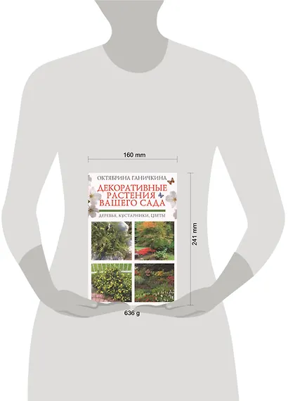 Декоративные растения вашего сада: деревья, кустарники, цветы - фото 2