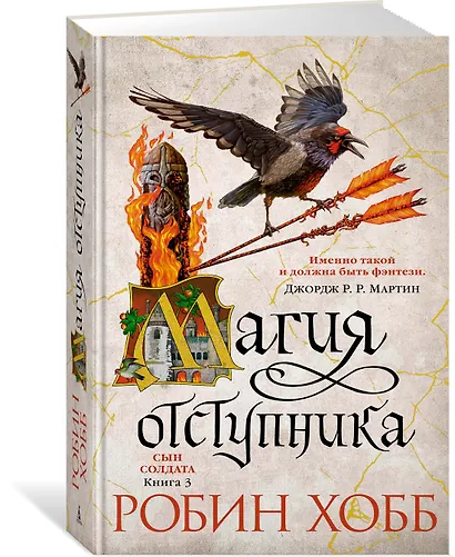 Сын солдата. Книга 3. Магия отступника - фото 3