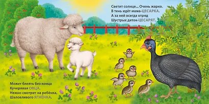 Мамы и малыши. Домашние животные. Загадки - рифмы - фото 8
