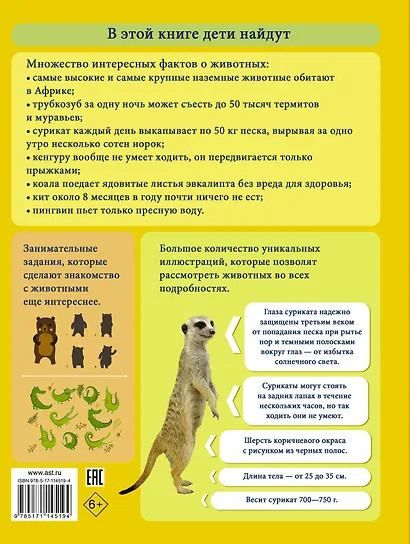 Моя первая большая книга о животных - фото 2