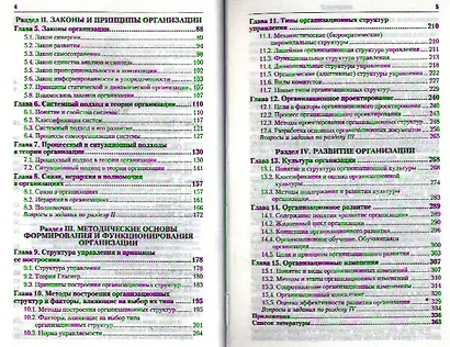 Теория организации: учебник для бакалавров - фото 3