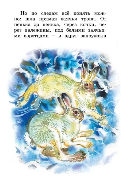 С днем рождения! Рассказы о животных - фото 4