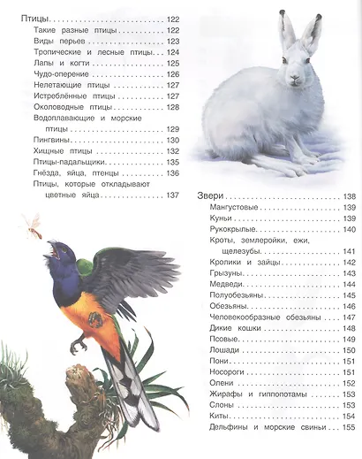 Большая иллюстрированная энциклопедия. новая - фото 5