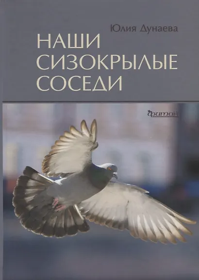 Наши сизокрылые соседи. - фото 1