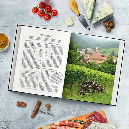 Ларусс. Вино. Энциклопедия - фото 5