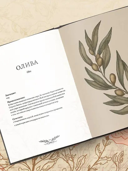 Флориография. Карманное руководство по викторианскому языку цветов - фото 8