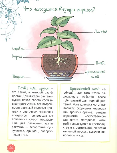ЭНЦИКЛОПЕДИЯ ДЛЯ ДЕВОЧЕК. СЕКРЕТЫ СОВРЕМЕННОЙ ДЕВЧОНКИ - фото 4