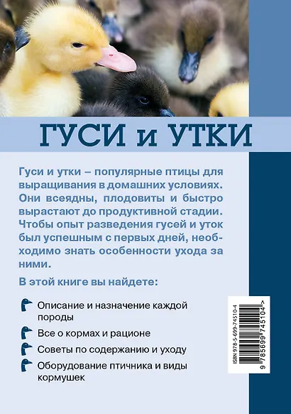 Гуси и утки - фото 2