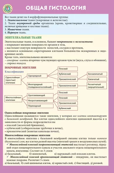 Общая гистология - фото 1