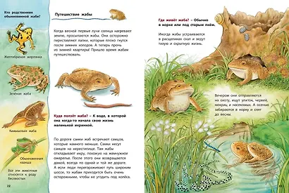 Кроты и другие подземные жители. Познавательные истории - фото 5