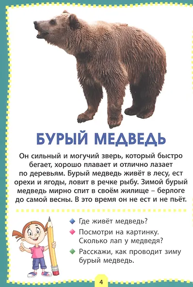 Животные мира. Фотокнига для самых маленьких - фото 4