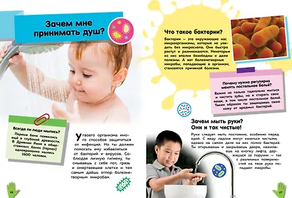Путеводитель по телу человека. Вопросы и ответы - фото 10