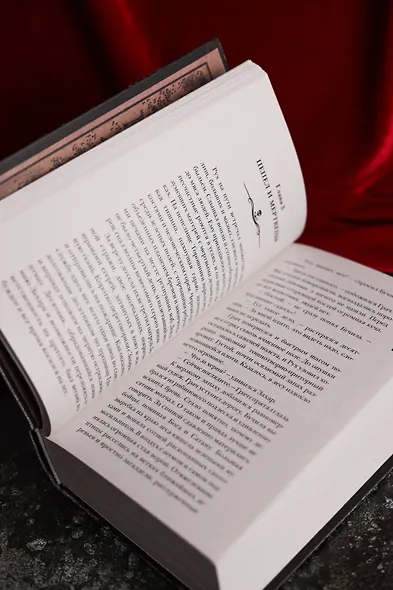 Самая страшная книга. Заступа: Грядущая тьма - фото 10