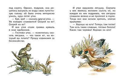 Лягушка-путешественница и другие сказки - фото 8