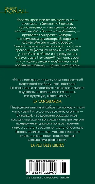 И нас пожирает пламя - фото 13