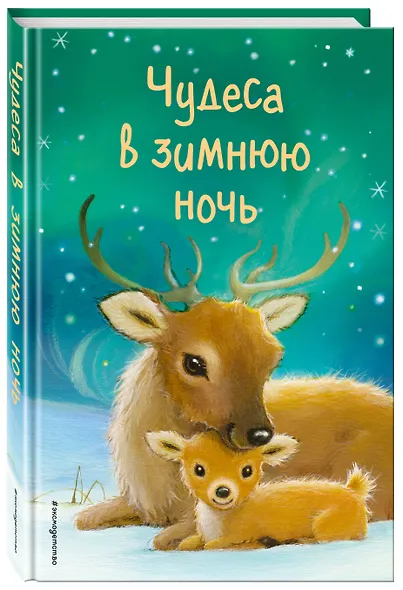 Чудеса в зимнюю ночь (выпуск 2) - фото 3